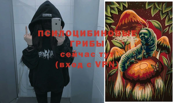 крисы Алексеевка