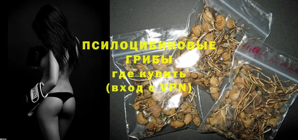 Альфа ПВП Алзамай