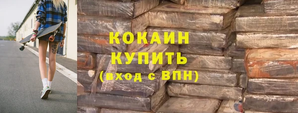индика Михайловка