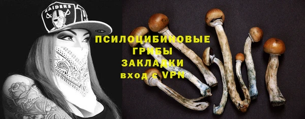 крисы Алексеевка